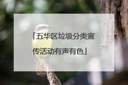 五华区垃圾分类宣传活动有声有色